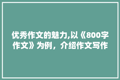 优秀作文的魅力,以《800字作文》为例，介绍作文写作之路_优秀作文800