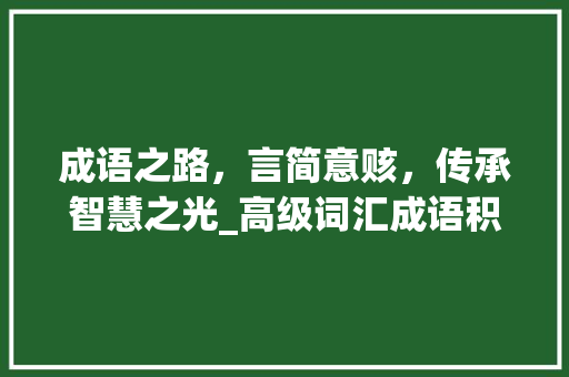 成语之路，言简意赅，传承智慧之光_高级词汇成语积累高考