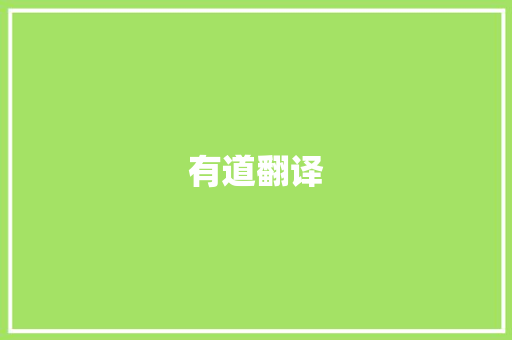 有道翻译 报告写作