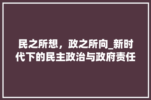 民之所想，政之所向_新时代下的民主政治与政府责任_民之所想政之所向 简历模板