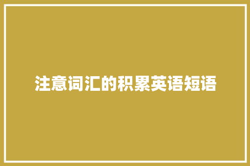 注意词汇的积累英语短语