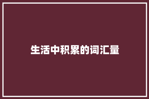 生活中积累的词汇量