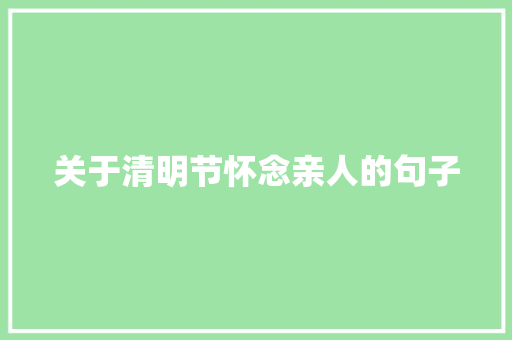 关于清明节怀念亲人的句子 写作社区