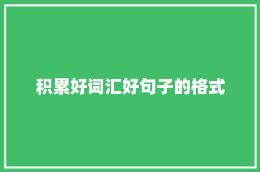 积累好词汇好句子的格式