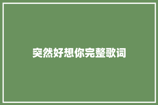 突然好想你完整歌词 简历模板