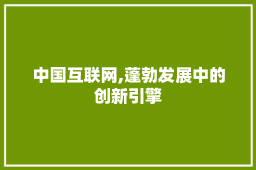 中国互联网,蓬勃发展中的创新引擎 商业文案