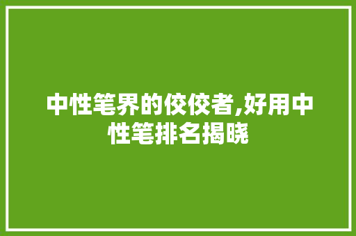 中性笔界的佼佼者,好用中性笔排名揭晓