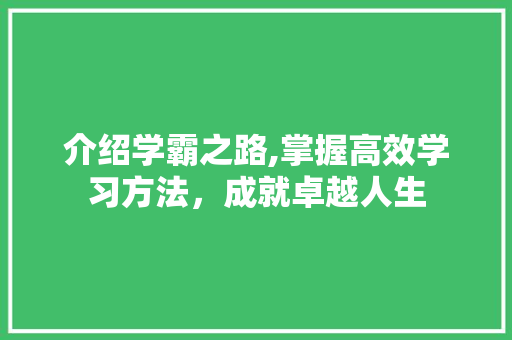 介绍学霸之路,掌握高效学习方法，成就卓越人生