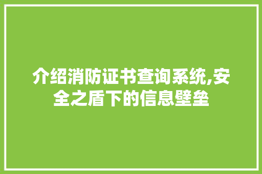 介绍消防证书查询系统,安全之盾下的信息壁垒