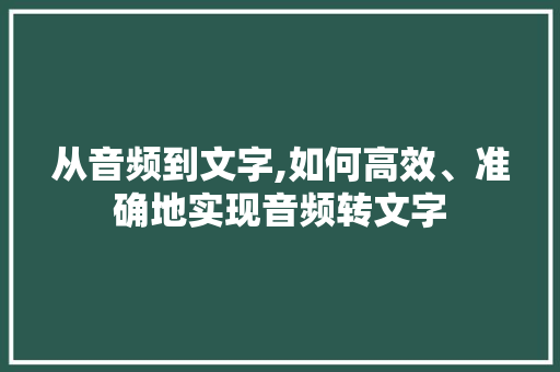 从音频到文字,如何高效、准确地实现音频转文字