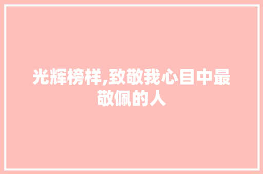 光辉榜样,致敬我心目中最敬佩的人
