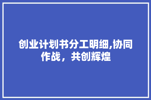 创业计划书分工明细,协同作战，共创辉煌
