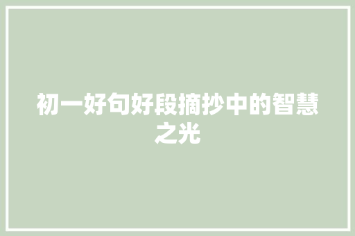 初一好句好段摘抄中的智慧之光