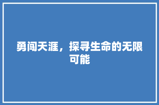 勇闯天涯，探寻生命的无限可能 报告写作