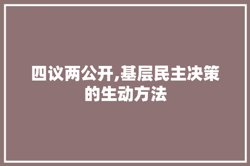 四议两公开,基层民主决策的生动方法 报告写作