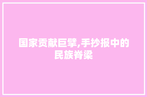 国家贡献巨擘,手抄报中的民族脊梁