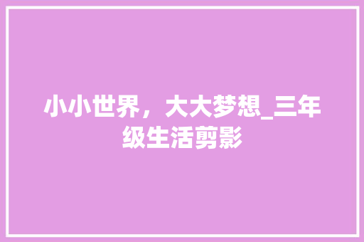 小小世界，大大梦想_三年级生活剪影