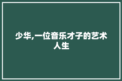 少华,一位音乐才子的艺术人生