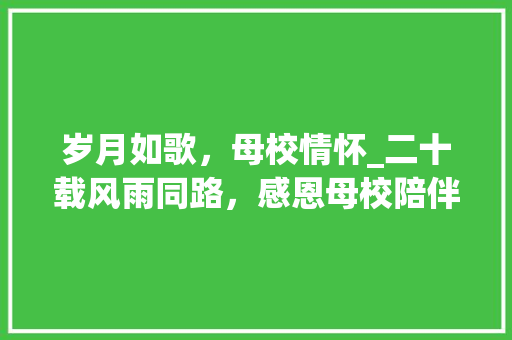 岁月如歌，母校情怀_二十载风雨同路，感恩母校陪伴成长