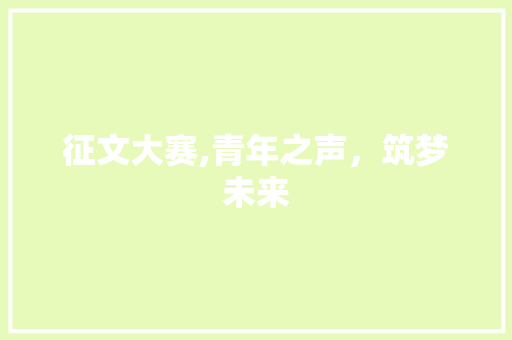 征文大赛,青年之声，筑梦未来