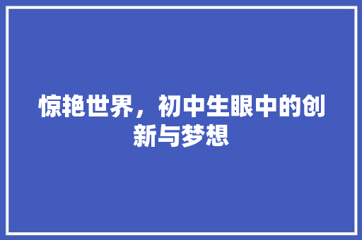 惊艳世界，初中生眼中的创新与梦想