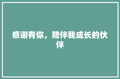 感谢有你，陪伴我成长的伙伴 简历模板