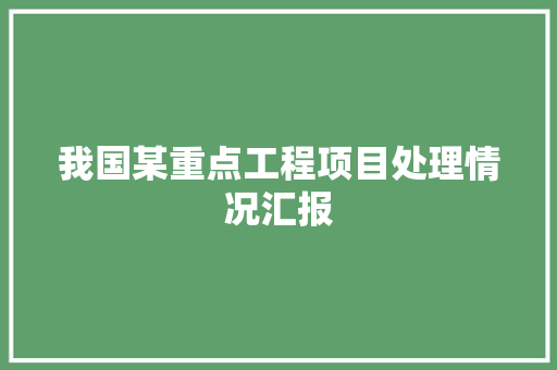 我国某重点工程项目处理情况汇报