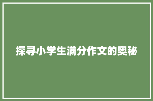 探寻小学生满分作文的奥秘
