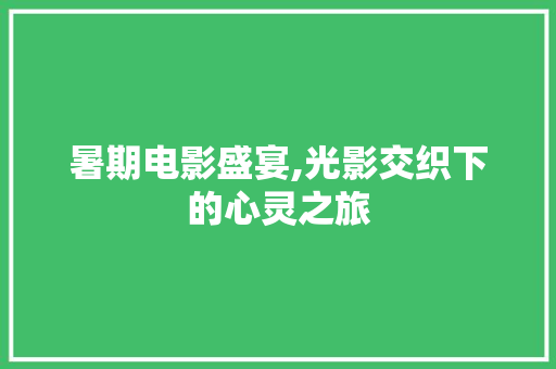 暑期电影盛宴,光影交织下的心灵之旅 写作社区
