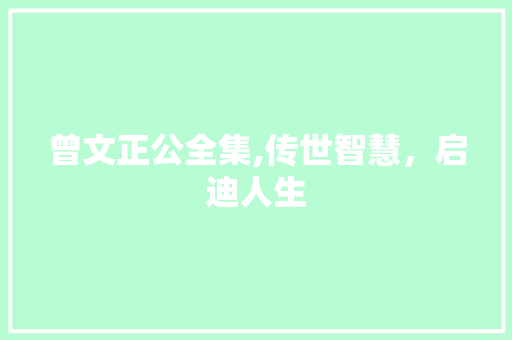 曾文正公全集,传世智慧，启迪人生 商业文案