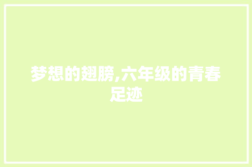 梦想的翅膀,六年级的青春足迹