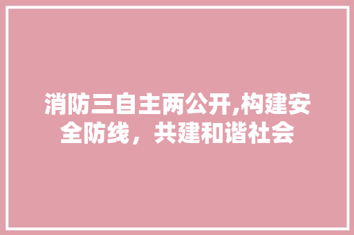 消防三自主两公开,构建安全防线，共建和谐社会