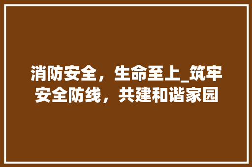 消防安全，生命至上_筑牢安全防线，共建和谐家园 报告写作