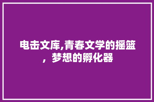 电击文库,青春文学的摇篮，梦想的孵化器