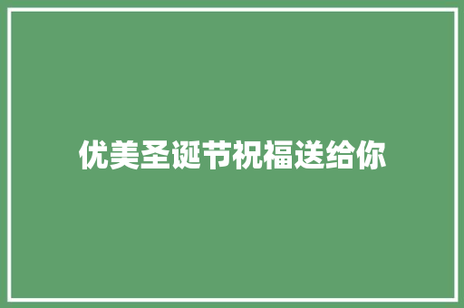 优美圣诞节祝福送给你 简历模板