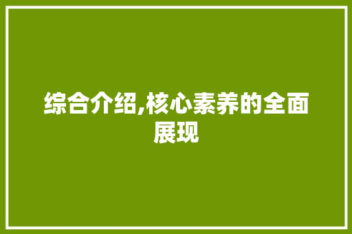 综合介绍,核心素养的全面展现
