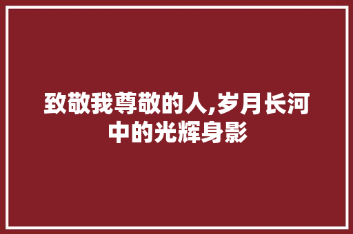 致敬我尊敬的人,岁月长河中的光辉身影