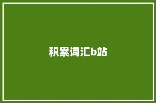积累词汇b站