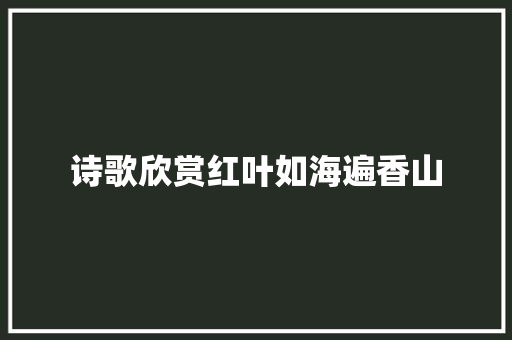 诗歌欣赏红叶如海遍香山 商业文案
