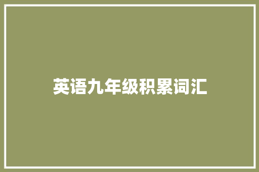 英语九年级积累词汇