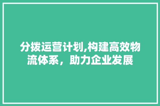 分拨运营计划,构建高效物流体系，助力企业发展