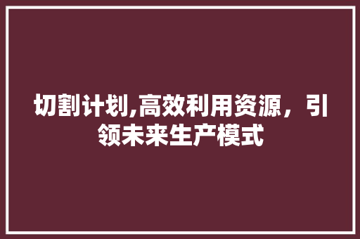 切割计划,高效利用资源，引领未来生产模式