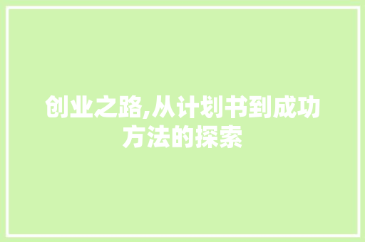 创业之路,从计划书到成功方法的探索