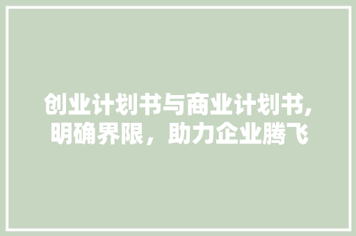 创业计划书与商业计划书,明确界限，助力企业腾飞