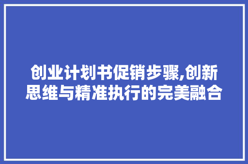创业计划书促销步骤,创新思维与精准执行的完美融合