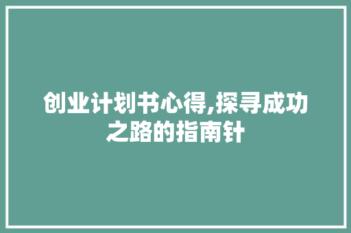 创业计划书心得,探寻成功之路的指南针
