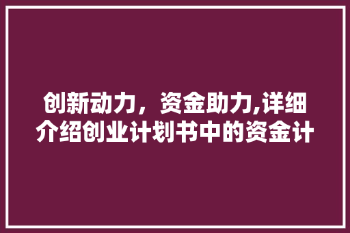 创新动力，资金助力,详细介绍创业计划书中的资金计划
