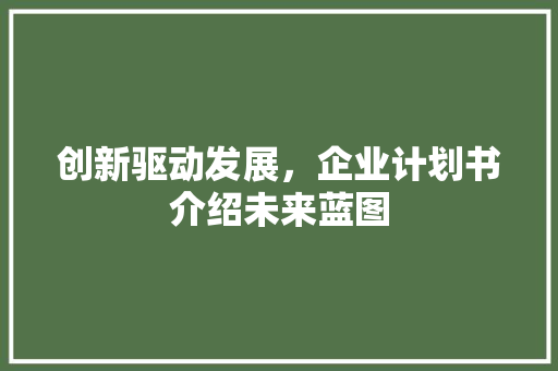 创新驱动发展，企业计划书介绍未来蓝图