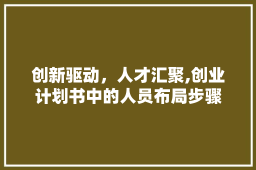 创新驱动，人才汇聚,创业计划书中的人员布局步骤