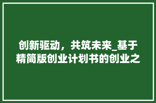 创新驱动，共筑未来_基于精简版创业计划书的创业之路